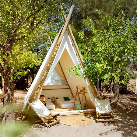 Kampaoh Paloma Tarifa